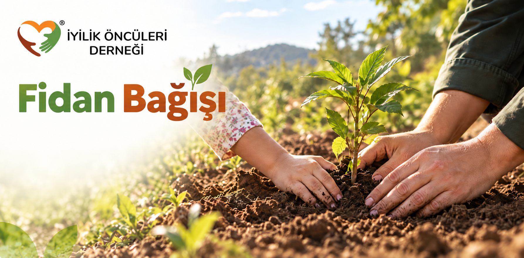 Fidan Bağışı